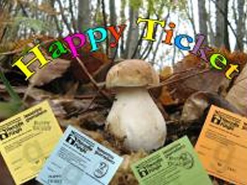 Happy Ticket - Per ogni pernottamento in regalo un biglietto per la raccolta dei funghi
