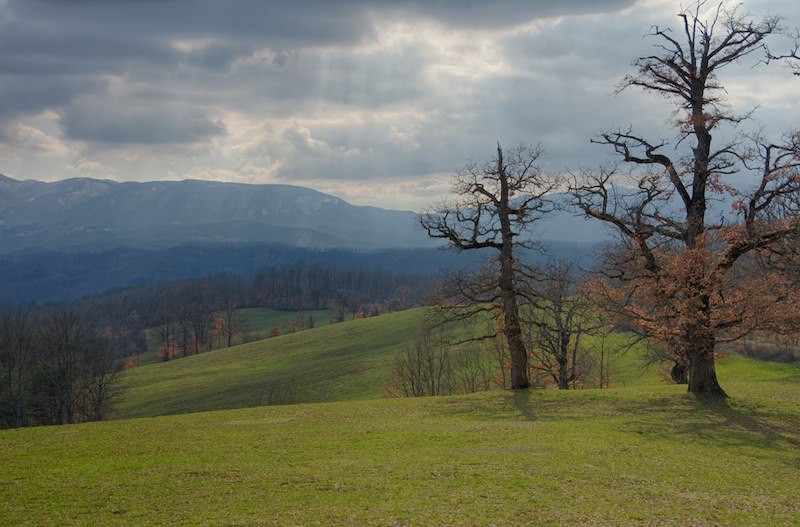 Il concerto della natura - Escursione Guidata